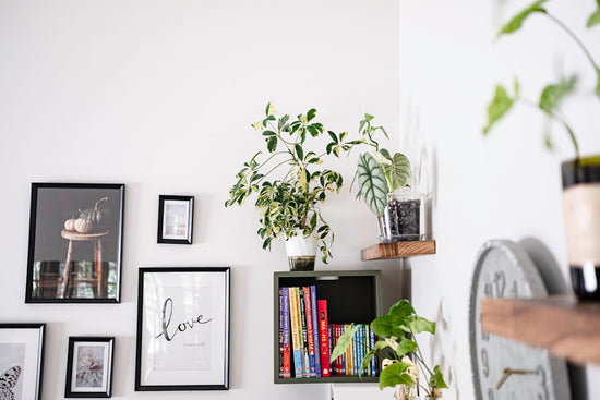 Modern living room with textured wall art and biophilic design elements