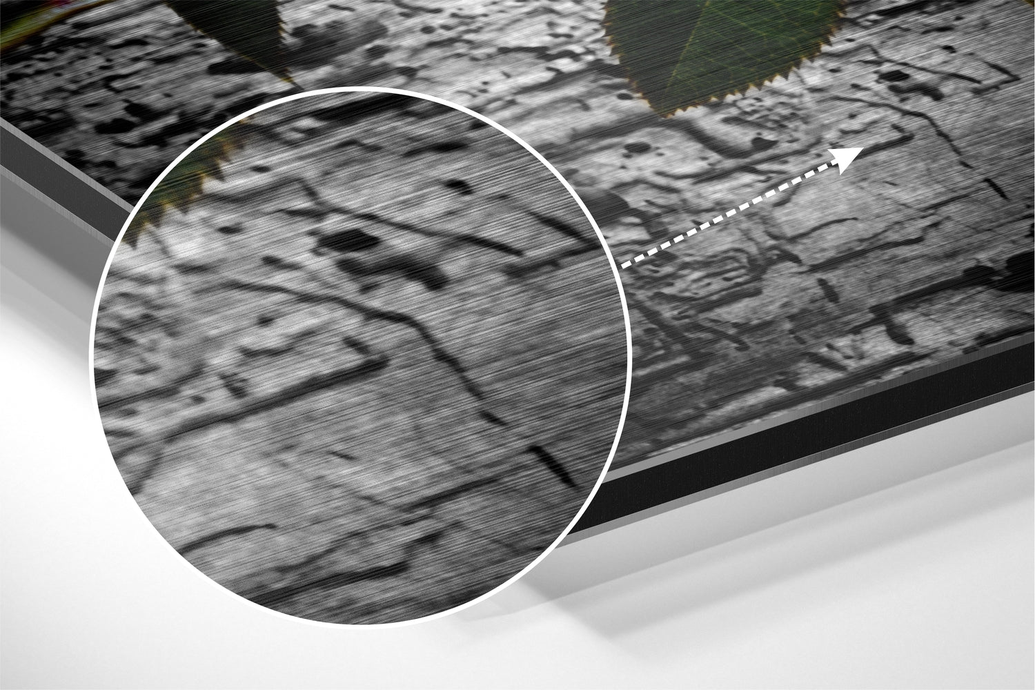 Rose Brushed Aluminium Dibond Wall Art